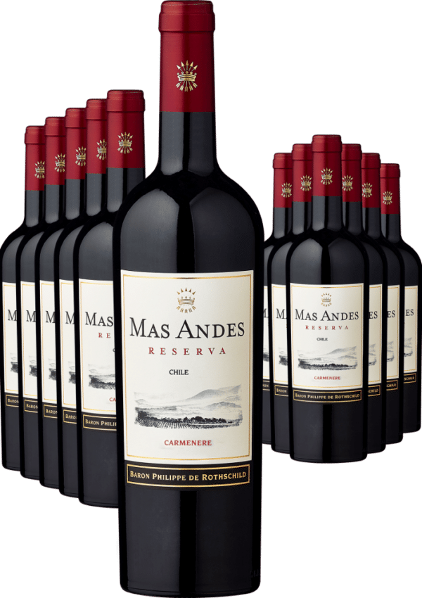 6+6-PAKET Rothschild Mas Andes Reserva Carménère 2021